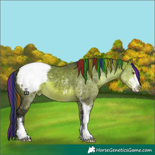 Horse Color:Painted Buckskin Dun Sabino Appaloosa 