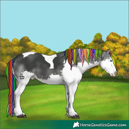 Horse Color:Painted Black Splash Tobiano 