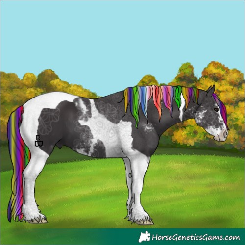 Horse Color:Painted Smoky Black Sabino Tobiano 