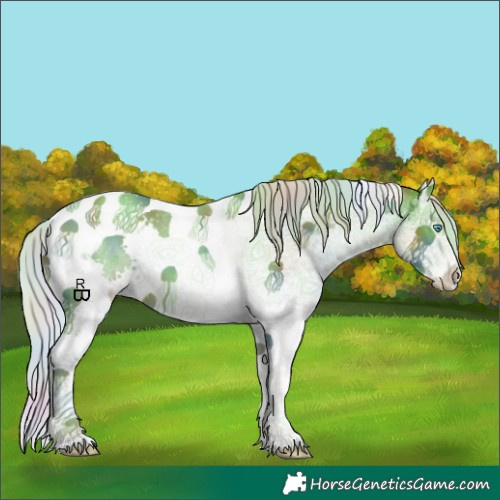 Horse Color:Nacre Silver Classic Champagne Sabino Splash Tobiano 