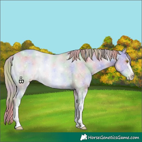 Horse Color:Nacre Watercolor Gold Champagne Sabino Appaloosa