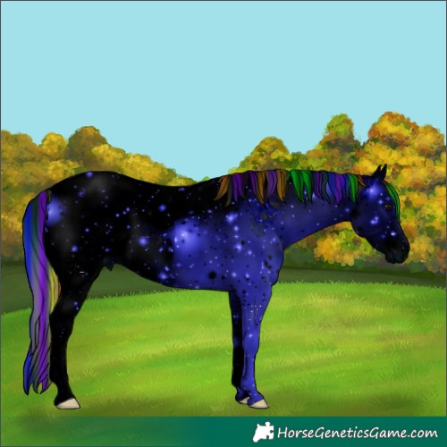 Horse Color:ERROR: UNKNOWN ANOMALY