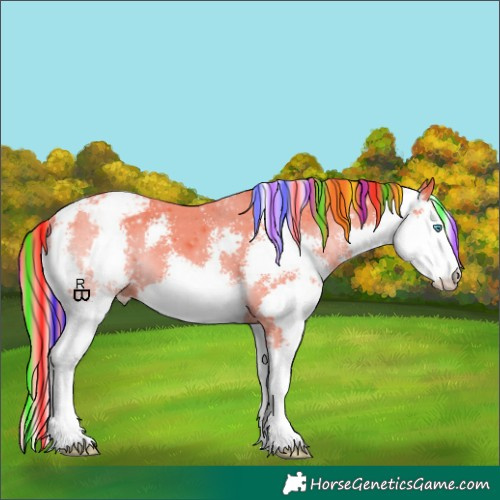 Horse Color:Painted Watercolor Liver Chestnut Sabino Splash Appaloosa