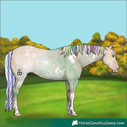 Horse Color:Painted White Spotted Silver Classic Champagne Dun Tobiano