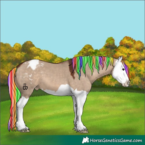 Horse Color:Painted Silver Brown Dun Splash Appaloosa 