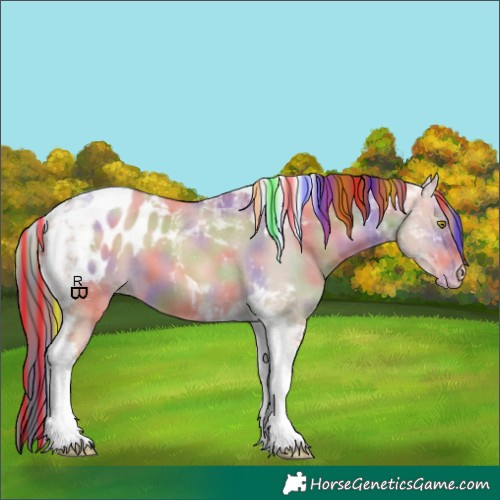 Horse Color:Painted Nacre Gold Champagne Dun Tobiano Appaloosa