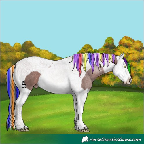 Horse Color:Painted Sable Champagne Splash Tobiano