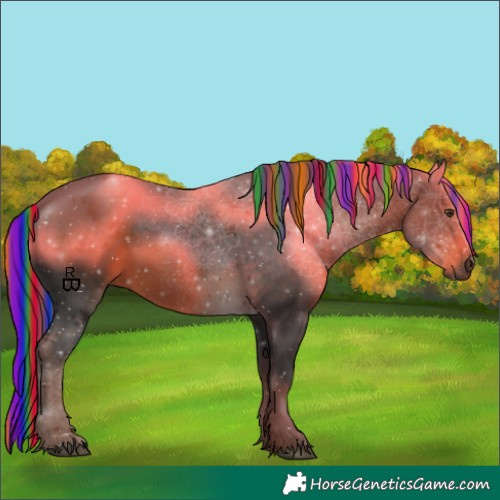 Horse Color:Painted Liver Chestnut 