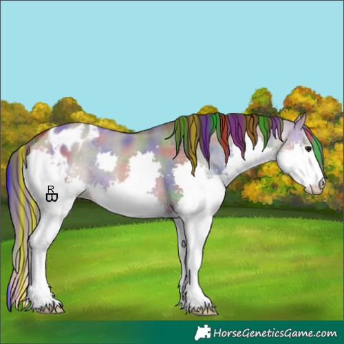 Horse Color:Painted Nacre Brown Dun Splash Appaloosa 