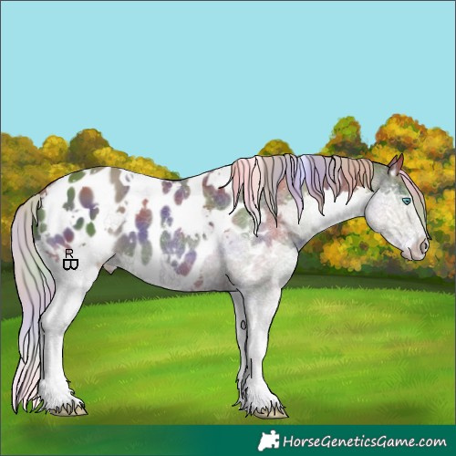 Horse Color:Nacre White Spotted Silver Black Splash Appaloosa