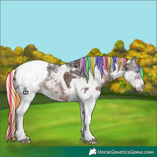 Horse Color:Painted Silver Brown Splash Tobiano Appaloosa 