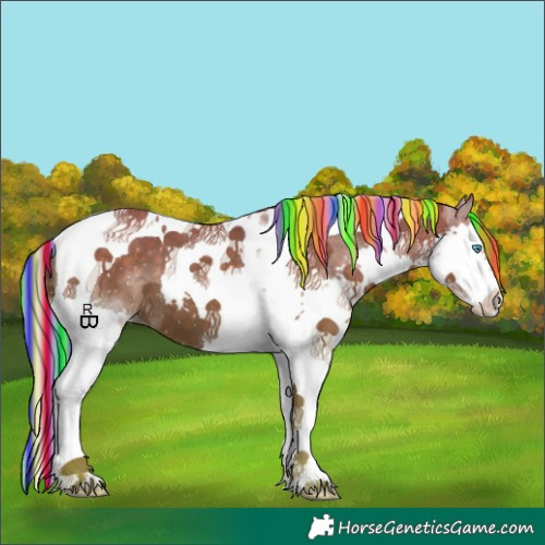 Horse Color:Painted Silver Black Splash Tobiano Appaloosa