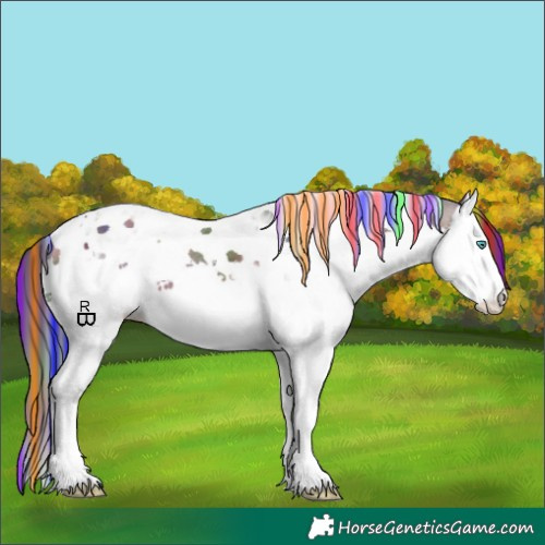 Horse Color:Painted Nacre Brown Splash Tobiano Appaloosa