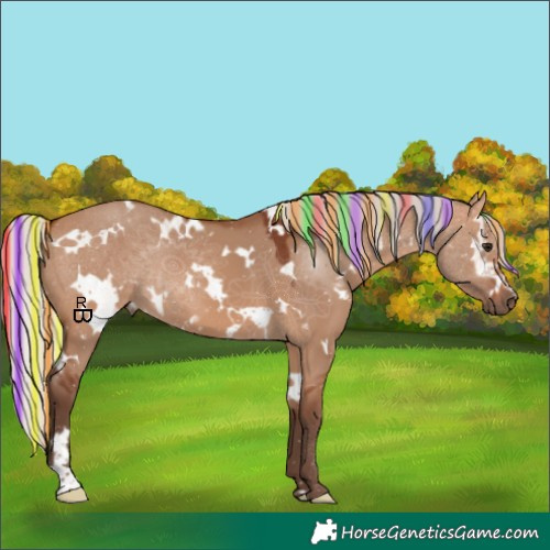 Horse Color:Painted White Spotted Silver Brown Dun