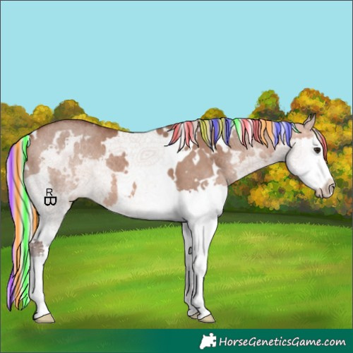 Horse Color:Painted White Spotted Silver Brown Dun Splash 
