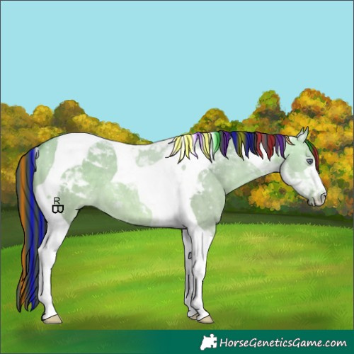 Horse Color:Painted Bay Chinchilla Dun Tobiano