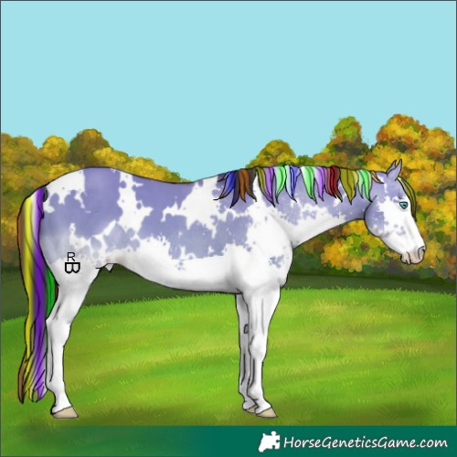 Horse Color:Painted White Spotted Sable Champagne Dun Splash 