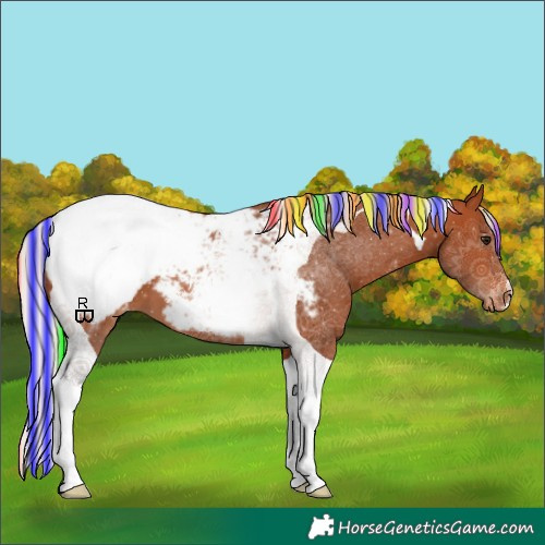 Horse Color:Painted Silver Bay Tobiano Appaloosa