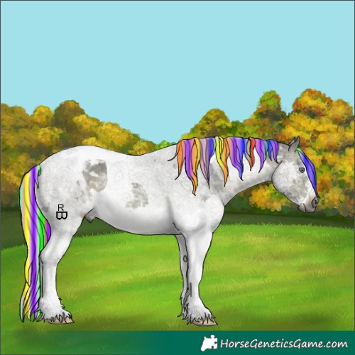 Horse Color:Gray Painted Silver Bay Chinchilla Splash Tobiano Appaloosa