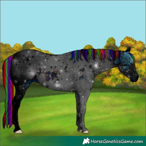 Horse Color:ERROR: UNKNOWN ANOMALY