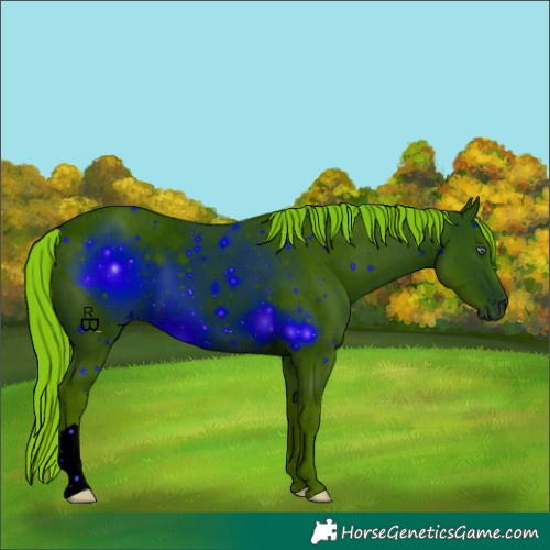 Horse Color:ERROR: UNKNOWN ANOMALY