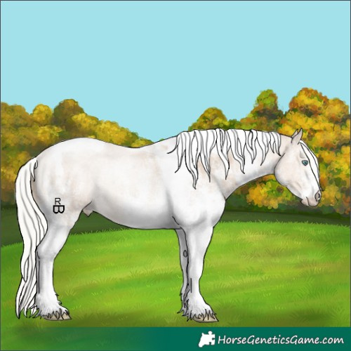 Horse Color:White Spotted Silver Smoky Creme Tobiano Rabicano