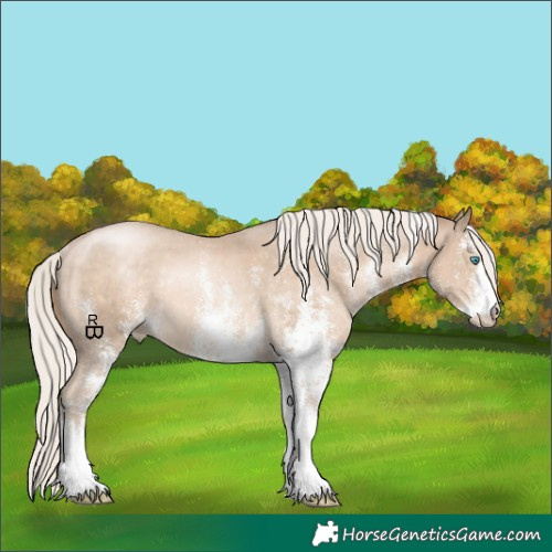 Horse Color:White Spotted Chocolate Palomino Pearl Rabicano 