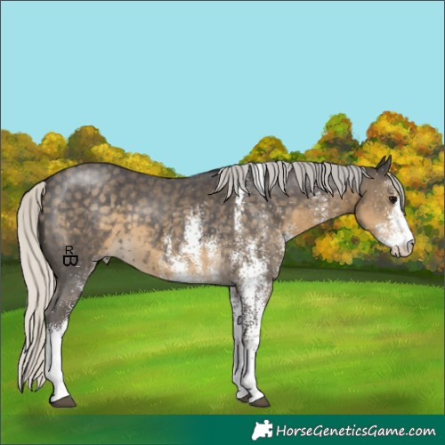 Horse Color:White Spotted Silver Smoky Black 