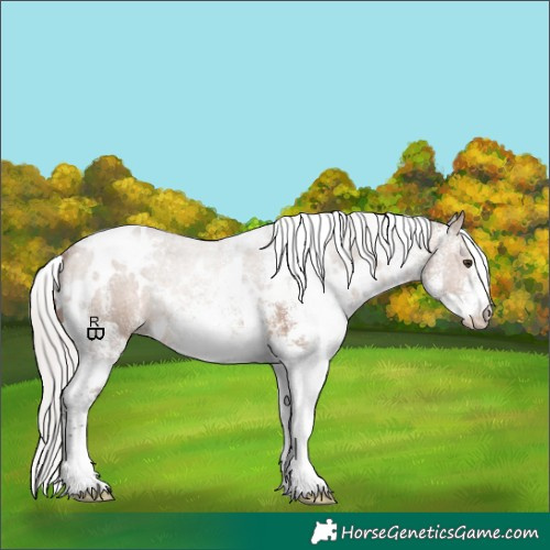 Horse Color:White Spotted Silver Brown Dun 