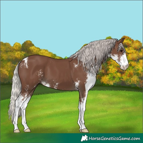 Horse Color:Silver Black Sabino