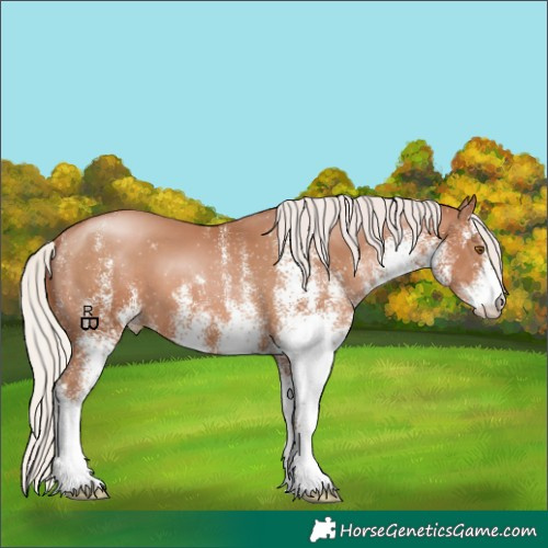 Horse Color:White Spotted Silver Black Pearl