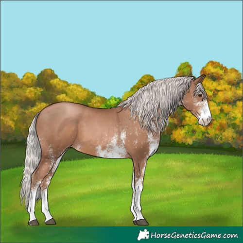Horse Color:White Spotted Silver Black Pearl