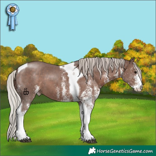 Horse Color:White Spotted Silver Black Tobiano 
