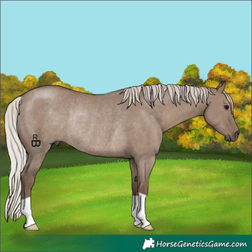Horse Color:Silver Grullo Rabicano