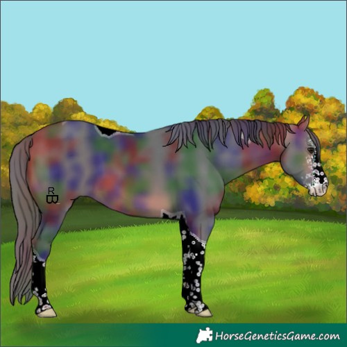 Horse Color:Nacre Bay Mushroom Sabino Tobiano 
