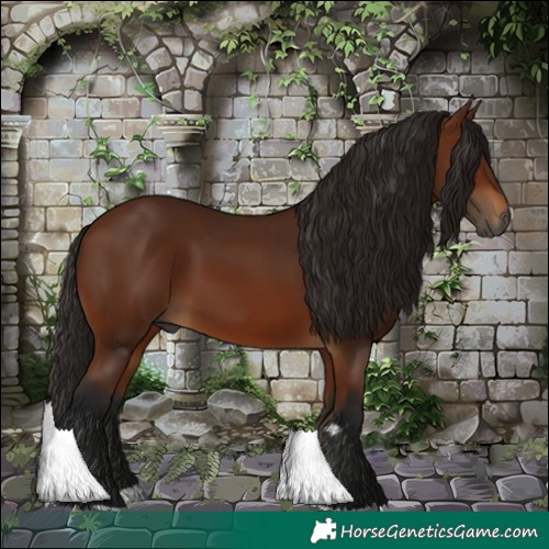 Horse Color:Gray Bay