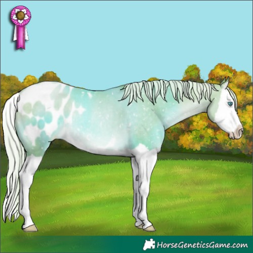 Horse Color:Watercolor Chocolate Palomino Pearl Splash Appaloosa Rabicano 