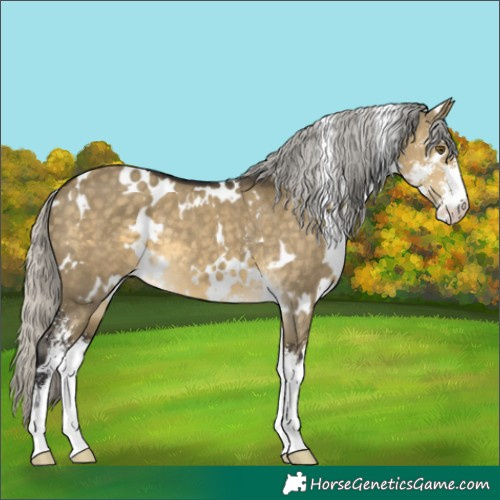 Horse Color:White Spotted Silver Buckskin Dun Mushroom Sabino 
