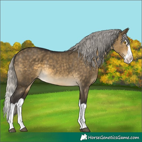 Horse Color:Silver Buckskin Dun Splash 