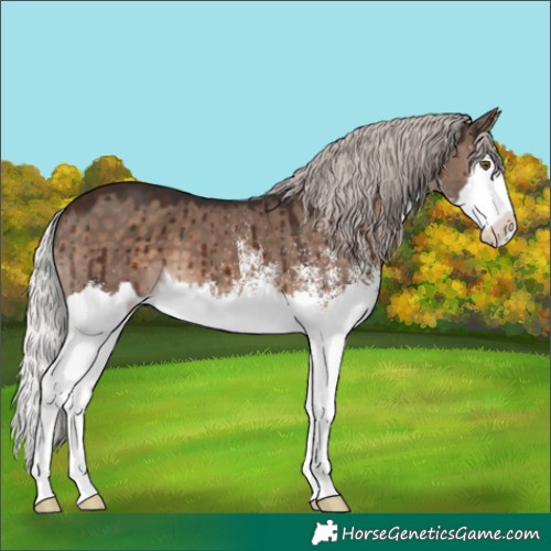 Horse Color:White Spotted Silver Brown Dun Mushroom Splash Brindle 