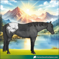 Horse Color:Black Snowcap