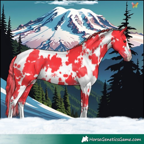 Horse Color:Watercolor White Spotted Liver Chestnut