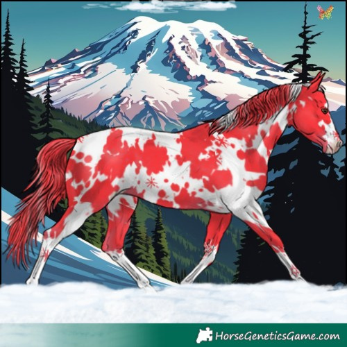 Horse Color:Watercolor White Spotted Liver Chestnut 