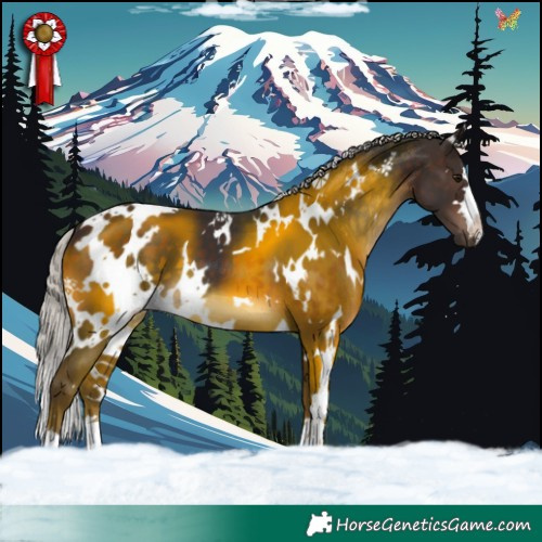 Horse Color:White Spotted Silver Brown 