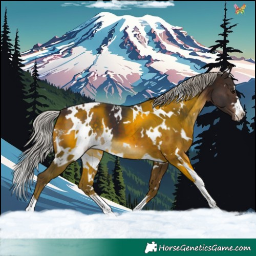Horse Color:White Spotted Silver Brown 