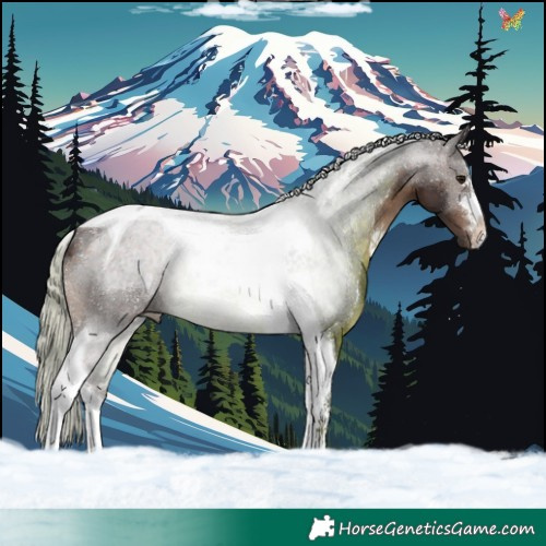 Horse Color:Silver Brown Tobiano 