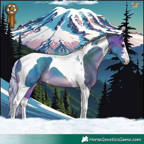 Horse Color:Watercolor Silver Brown Tobiano 