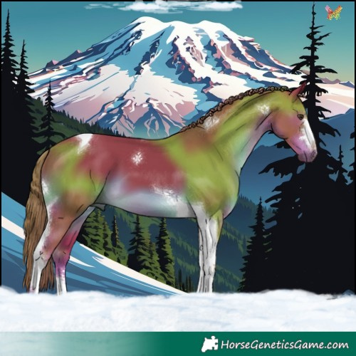 Horse Color:Watercolor Liver Chestnut Tobiano