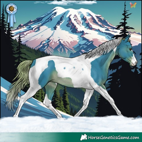 Horse Color:Watercolor Liver Chestnut Tobiano 