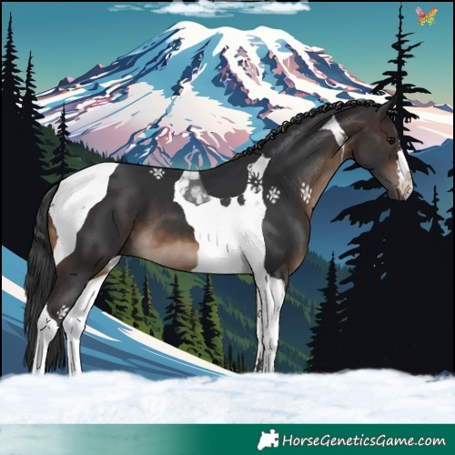 Horse Color:Brown Tobiano 